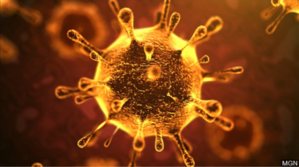corona virus and homeopathy